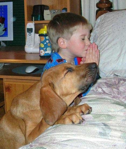 Child and dog praying.jpg